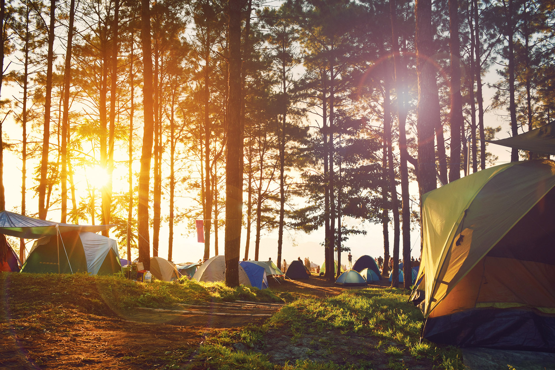 Zelte stehen in einem sonnendurchfluteten Wald bei Sonnenaufgang, Menschen genießen die Natur und das Camping.